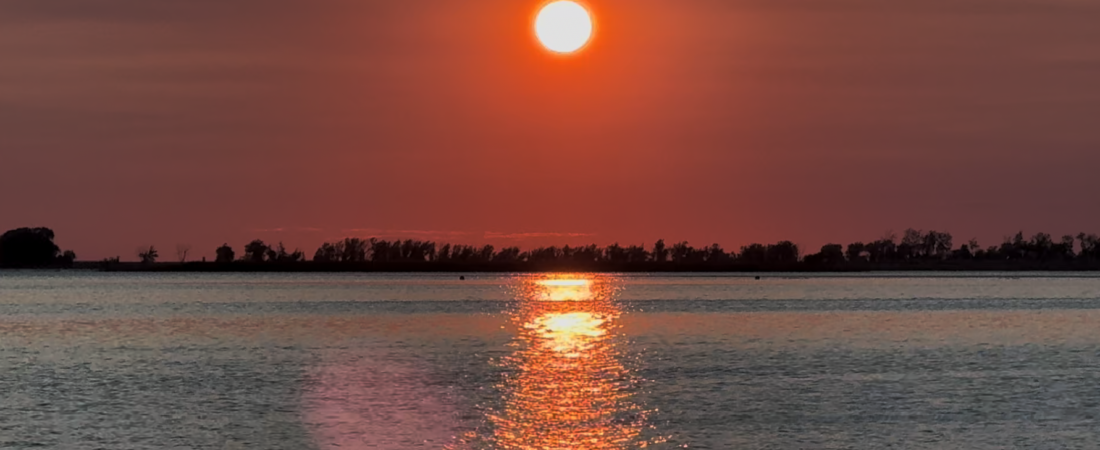 Sunset With The Dog