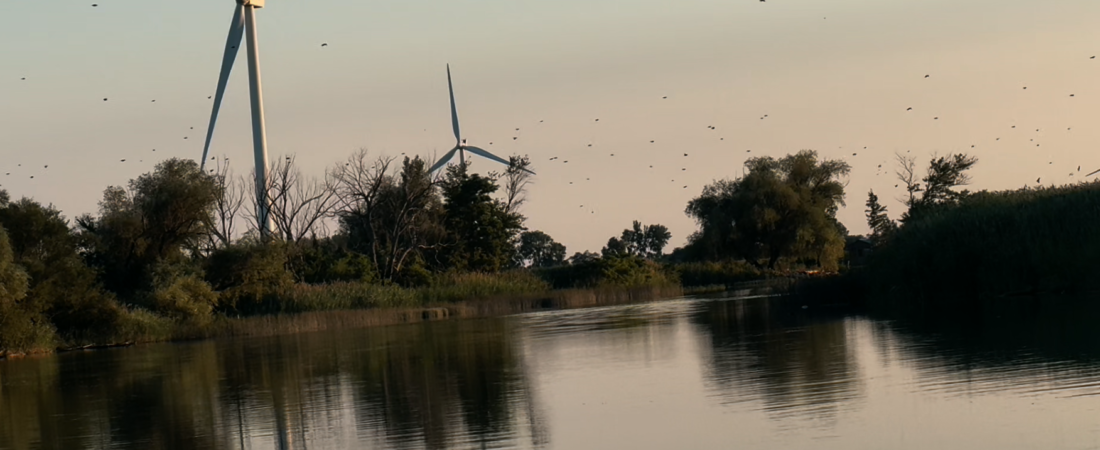 Exploring “Wilderness”: A Journey into Serene Golden Hour Waterfronts and Nature’s Quiet Escape