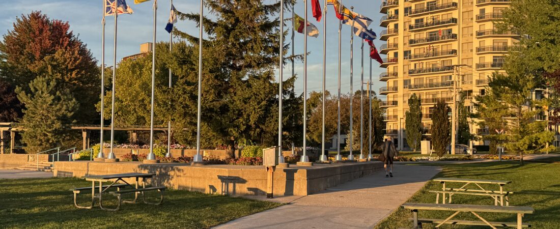 Urban Sanctuaries: How Modern Parks and Public Spaces Transform City Living