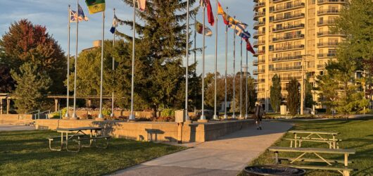 Urban Sanctuaries: How Modern Parks and Public Spaces Transform City Living