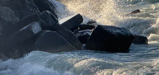 Bridging the Tide: Human Ingenuity and the Power of the Sea