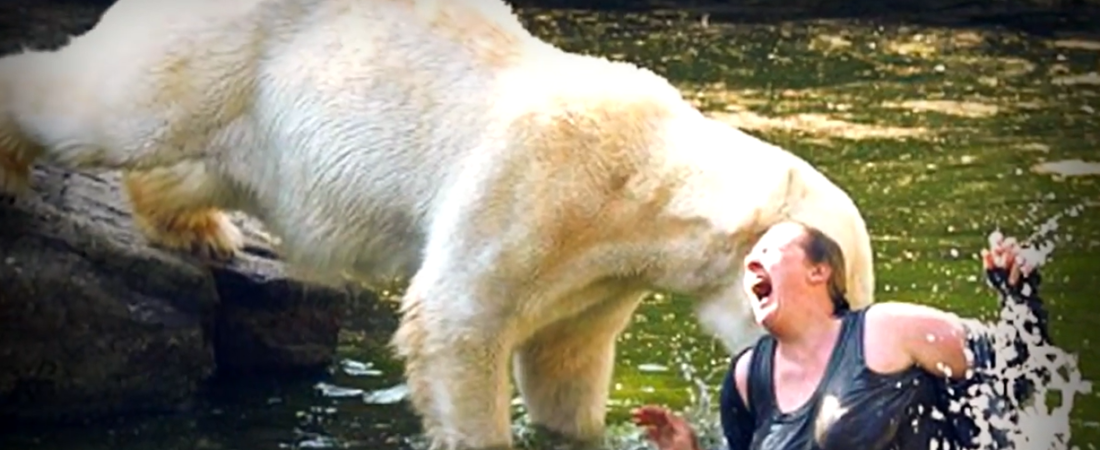 When Human Curiosity Meets Wild Instincts: 10 Unforgettable Zoo Enclosure Encounters