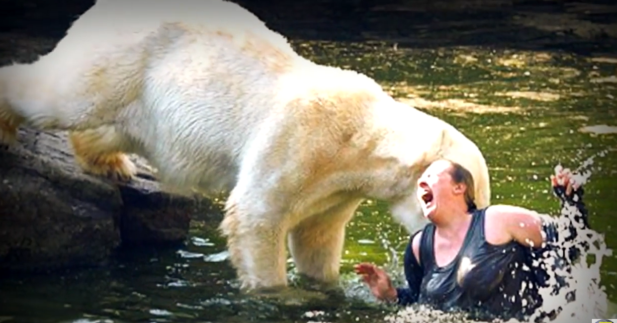 When Human Curiosity Meets Wild Instincts: 10 Unforgettable Zoo Enclosure Encounters